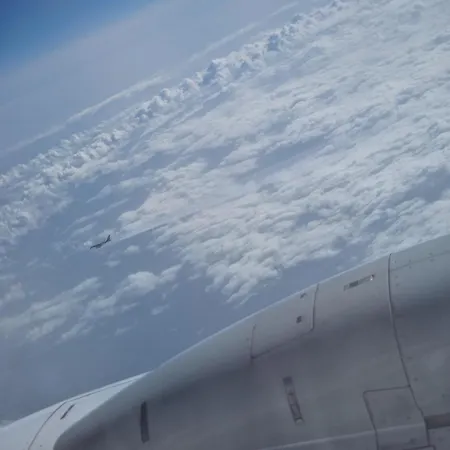 Campo de lujo Money Gante